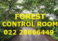 Forest control room: 022 28866449